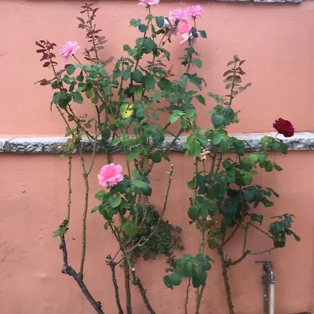 Landsted Apostolia's Big House Bed And View Anavryti