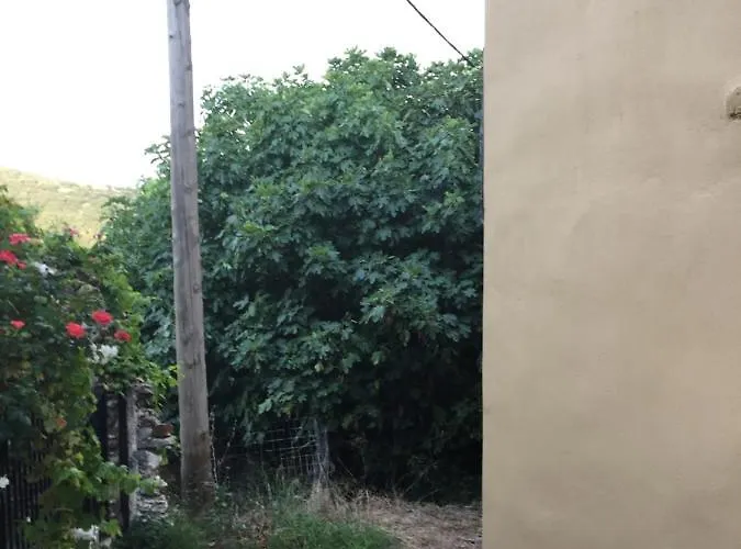 Apostolia's Big House Bed And View *