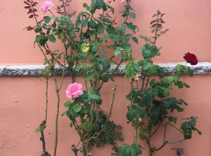 Venkovský dům Apostolia's Big House Bed And View Anavryti